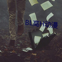 BL高H动漫