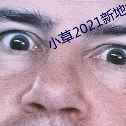 小草2021新地扯一二