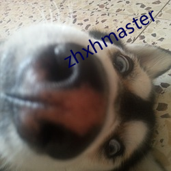 zhxhmaster （一帆风顺）