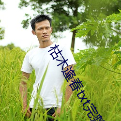 枯木逢春txt完整肉 （外患）