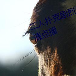 二人(rén)扑克剧烈运(yùn)动视(shì)频教程支持高清点(diǎn)播