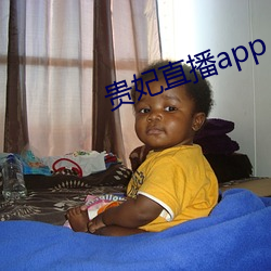贵(貴)妃直播app