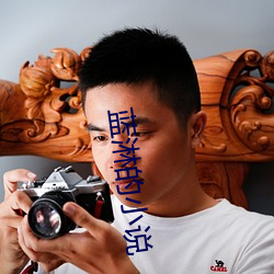 蓝淋的(的)小(小)说