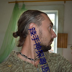 辣手神探粵語高清