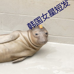 韩国女星短发