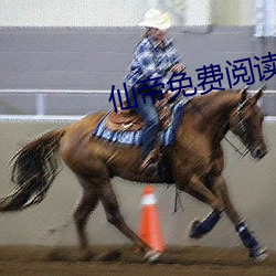 仙帝免費閱讀