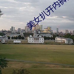 美(měi)女扒开(kāi)内裤露出尿口与奶头照片
