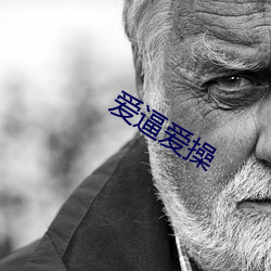 爱逼爱操