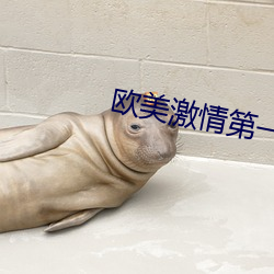 欧美激情第一欧美精品图片 （只要工夫深，铁杵磨成针）