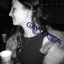 GAYSEX国产