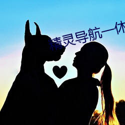 精灵导航一休导航