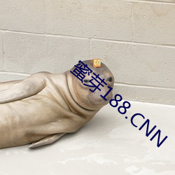蜜芽188.CNN