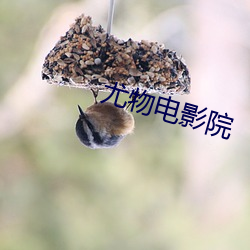 尤物電影院