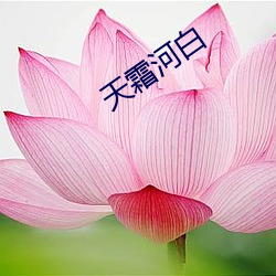 天霜(霜)河白(白)