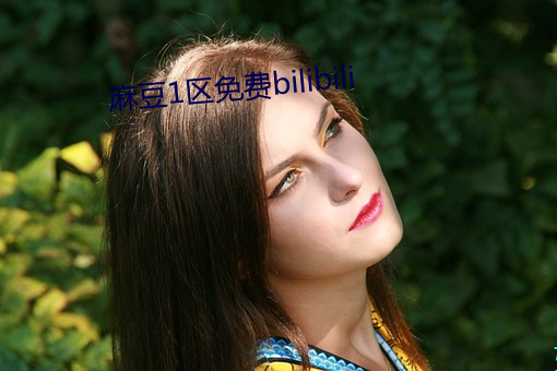 麻(麻)豆1区(區)免(免)费bilibili