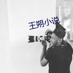 王朔小说 （色衰爱弛）