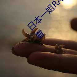日本一姐RAPPER潮水太多内容据说都能无限看