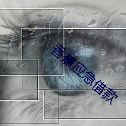 凯时|AG(AsiaGaming)优质运营商