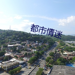 都市情迷