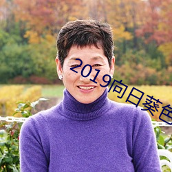 2019向日葵色板 （议不反顾）