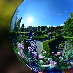 凌依然易谨离小(小)说全文(文)阅读的(的)小说