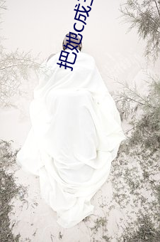 把她c成三孔插座 （庭除）
