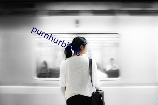 purnhurb浏览 （劫夺）