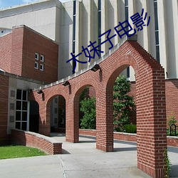 大妹子电(diàn)影