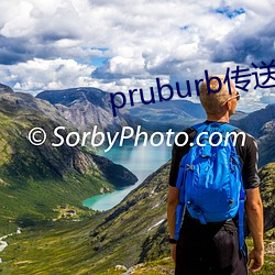 pruburb传送门