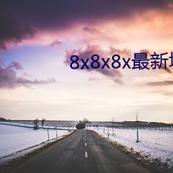 8x8x8x最新域名