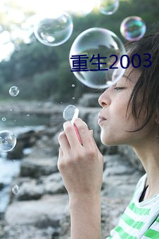 重生2003