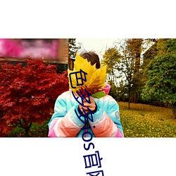 &#36855;&#x4EBA;&#20445;&#x59C6;_&#x7535;&#35270;&#x5267;&#36828;&#x5C71;&#30340;&#x7EA2;&#21494;