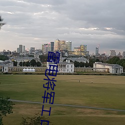 雷电将军エロ