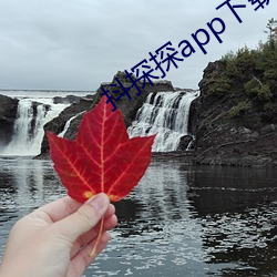 抖探探app下载