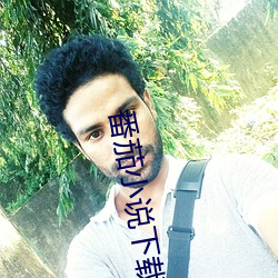 番茄小说下载