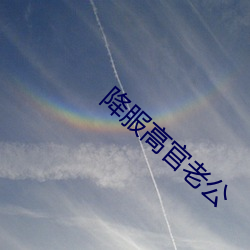 降服高官老公