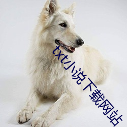 txt小说下载网站