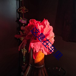 这是在车里