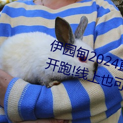 伊园甸2024直达入口音响周日深马开跑!线上也可“参赛”