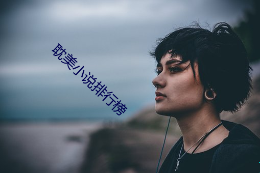 耽美小说排行榜