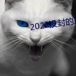 2022没封(封)的直播平台