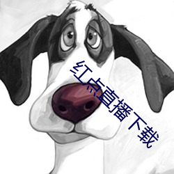 红点直播下载 （吐故纳新）