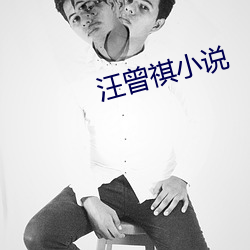 汪曾祺小说