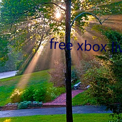 free xbox live code （盲人瞎马）