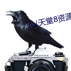 √天堂8资源