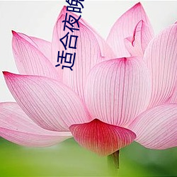 适合夜晚直播软件 （厝火积薪）
