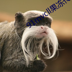91mvcll果冻传媒