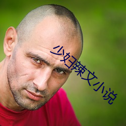 少(少)妇辣(辣)文小说(說)