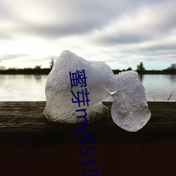 蜜芽my5519