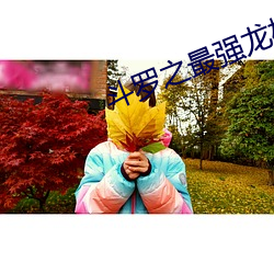 斗罗之最强龙枪